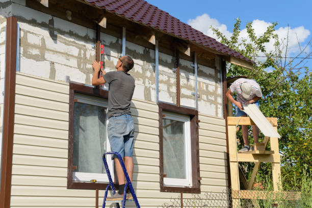 Best Custom Siding Design  in Lowell, MI